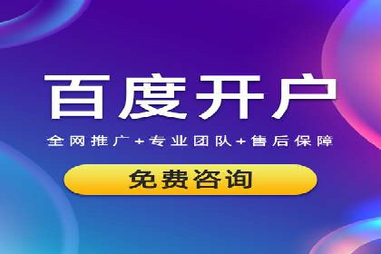 百度竞价广告投放策略案例